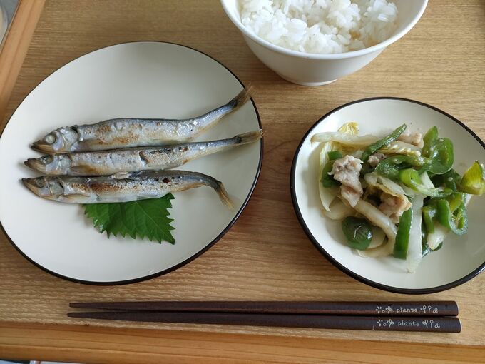 ランチの例。魚に野菜多めの肉野菜炒めをプラス