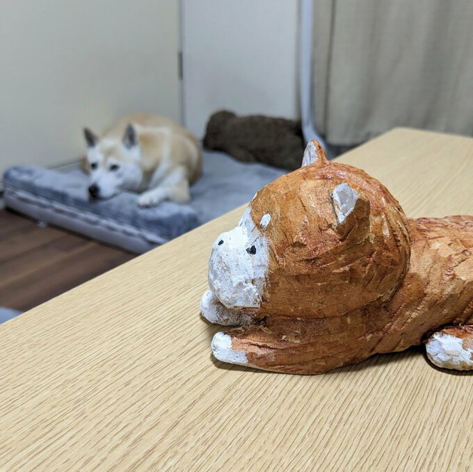 犬