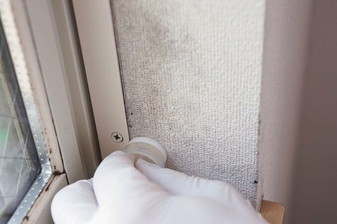 薄く黒いカビ汚れを発見