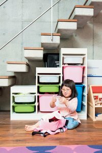 オモチャは棚に入るだけに限定