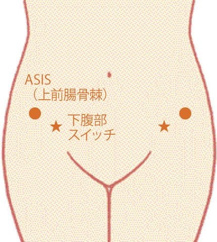 イラスト下腹部