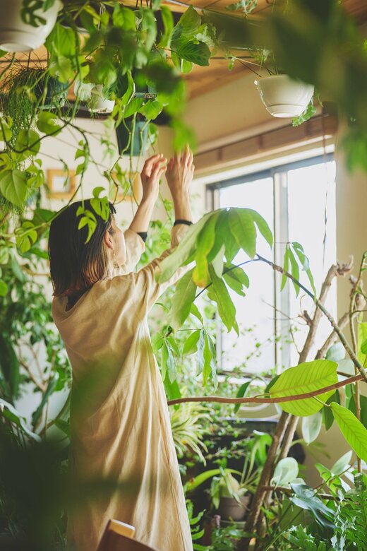植物の手入れをしている宇佐美さん