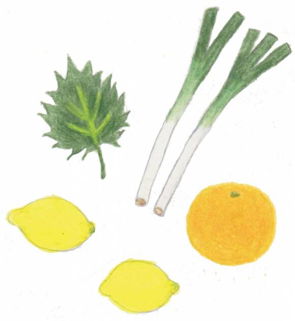イラストネギ、レモンなど