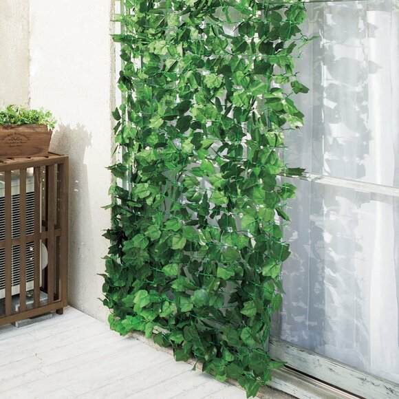 グリーンカーテン