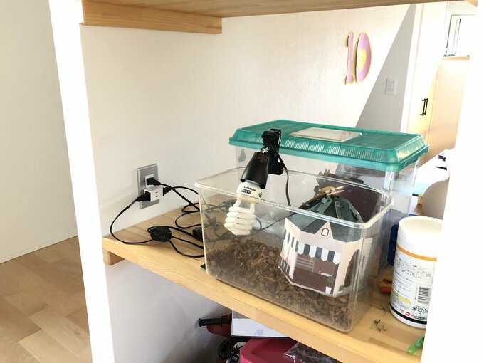 観賞魚用のコンセント