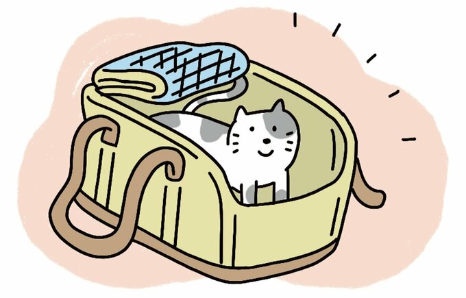 キャリーバッグに入る猫