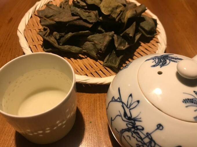 柿の葉茶
