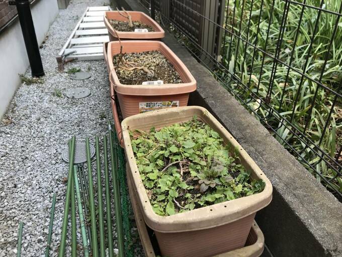 床置きよりも、ガーデニングスタンドの活用がおすすめ