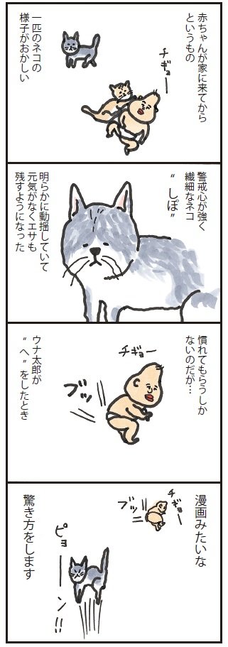 赤ちゃんのおならに、猫がとった驚きの反応＜うなぎ家の稚魚