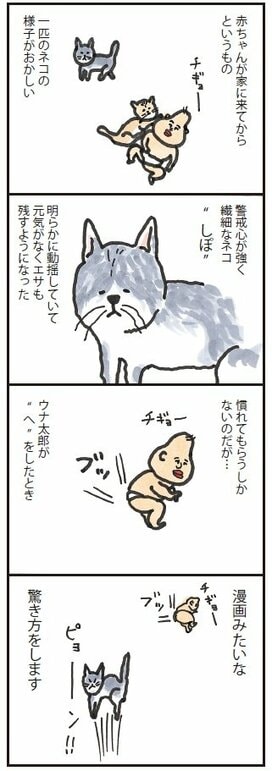 赤ちゃんのおならに、猫がとった驚きの反応＜うなぎ家の稚魚＞