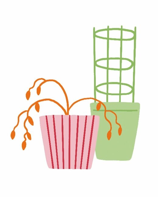 枯れた植木鉢のイラスト