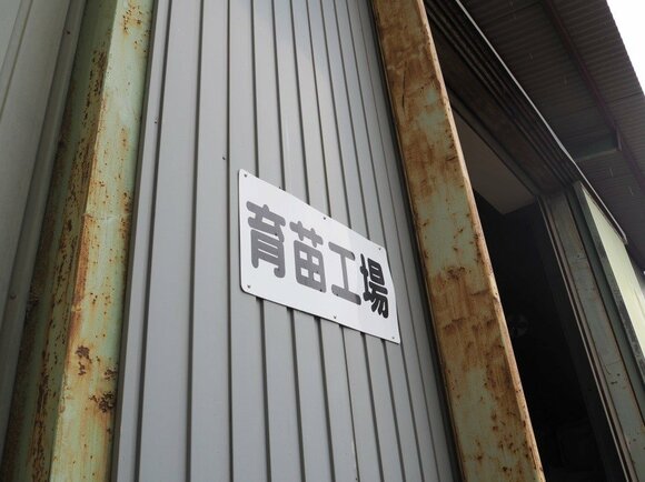 お米の育苗工場