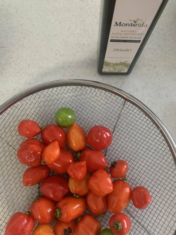 オリーブオイルとハバネロ