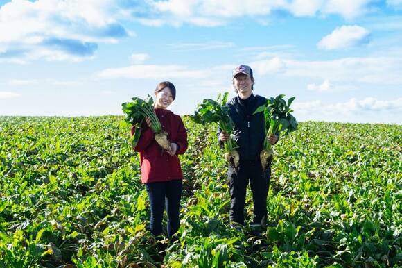 てん菜をつくっている北海道の農家