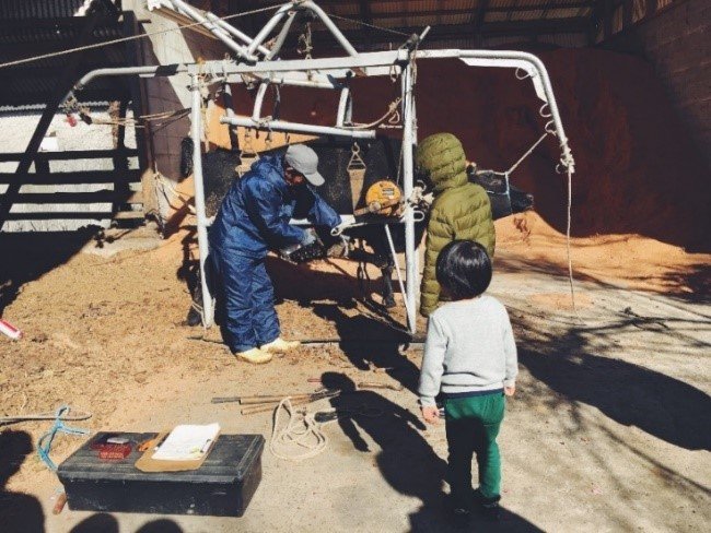 牛ものびのびしていて毛ツヤもいい