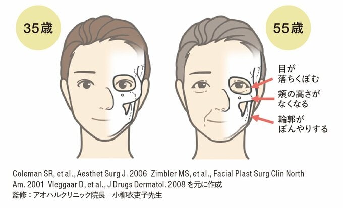 老化による顔骨の変化