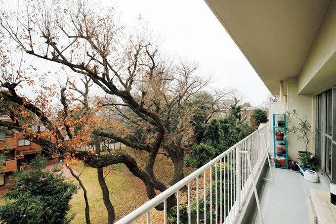 都心とは思えない借景が広がるベランダ