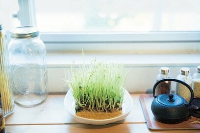 コツコツ貯めて2000万円！スーパー主婦が実践すること