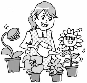 鉢植えのグリーンを育てる