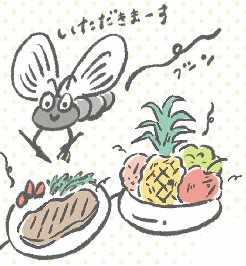 食べ物に向かって飛ぶコバエ