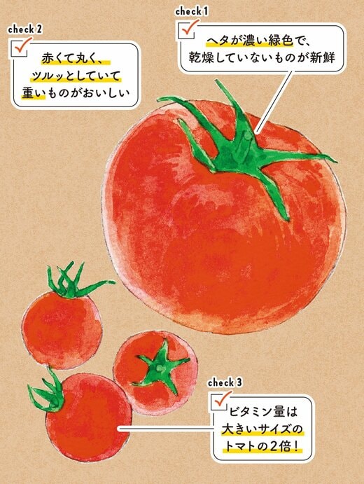 トマトイラスト