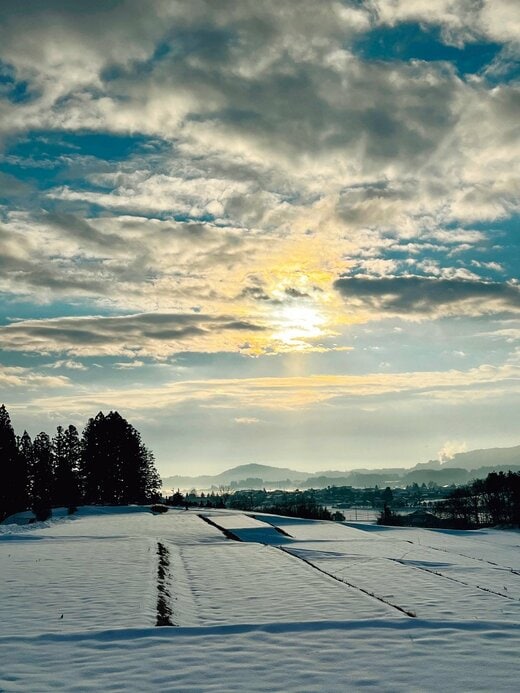 朝、差し込む陽の光もお気に入り