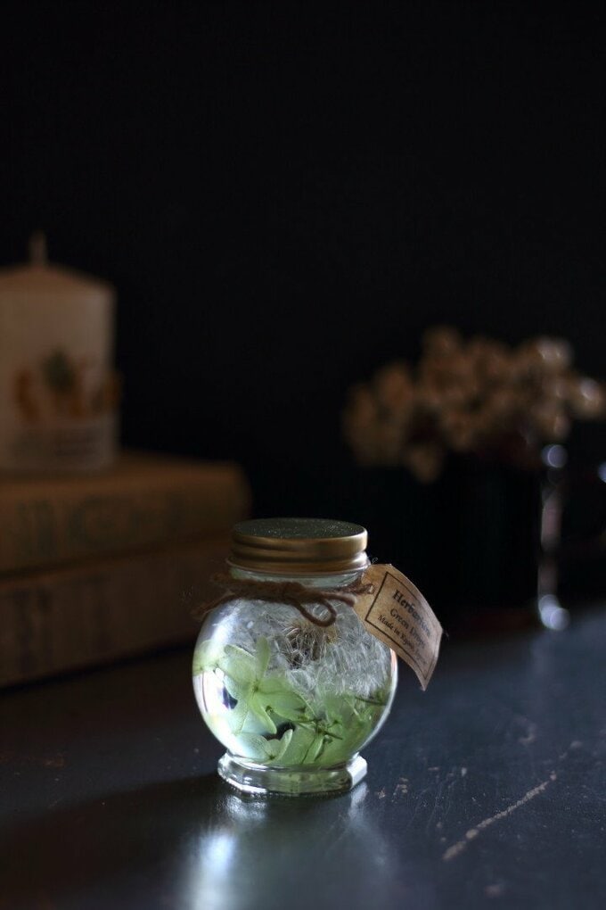 5種類の光で撮り比べ