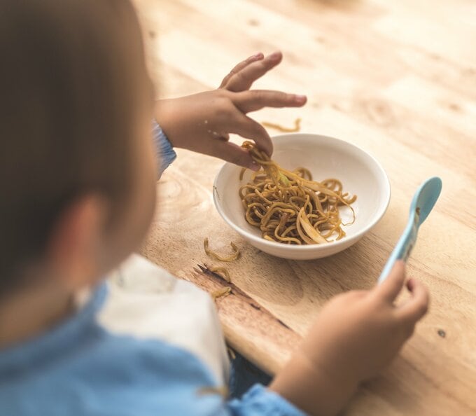 毎日来て食事をねだる子も(※写真はイメージです。以下同じ)