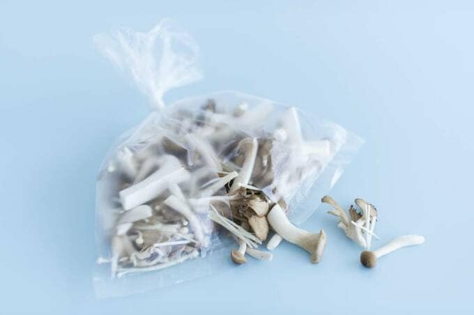 ポリ袋からキノコ