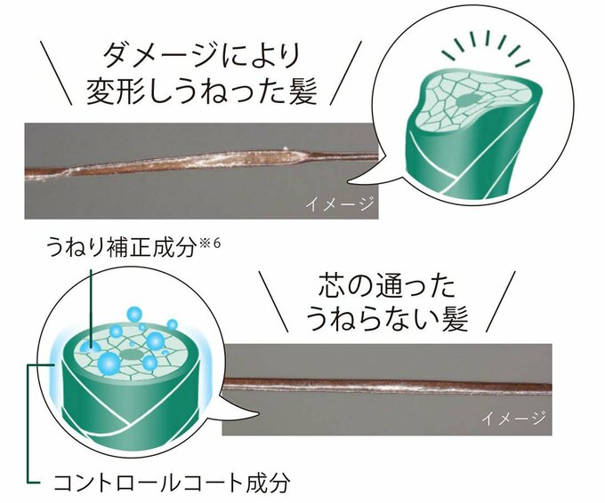 うねった髪とうねらない髪イメージ