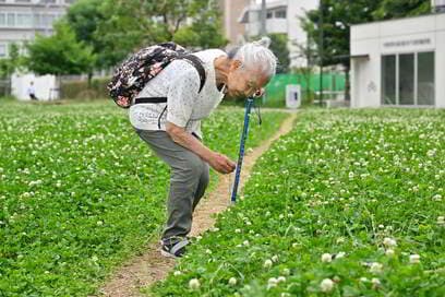 93歳、元気の秘訣は「しっかり3食・8時間睡眠」。1日7000歩ぐらい歩く日も