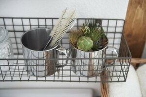 コップはグリーンの鉢カバー代わりに