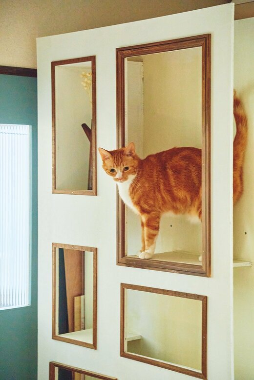 キャットタワー