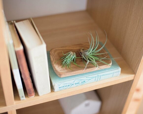 インテリアのアクセントにぴったり！