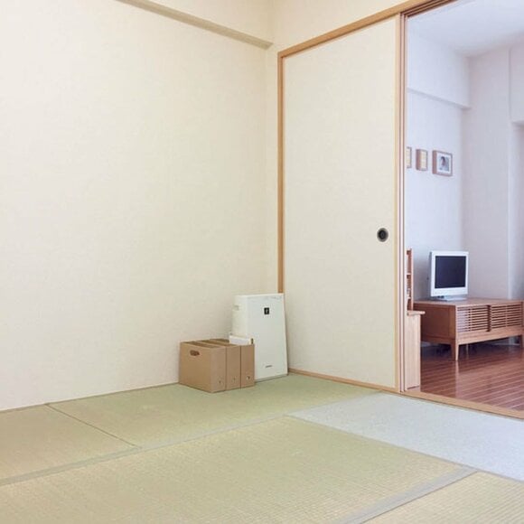 ボロボロになってしまった畳の様子