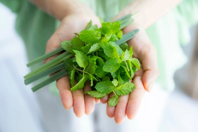 herb