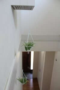 つり下げディスプレー