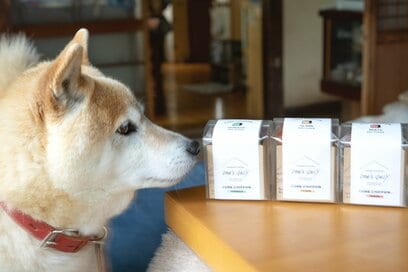 犬の11歳の誕生日。SNSでつながった縁でできた最高のお祝いごはん