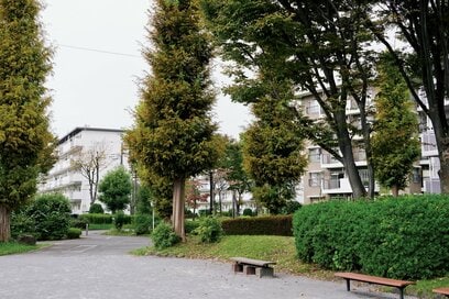 90歳ひとり暮らしが考える「団地の魅力」。家事のしやすさ、家族との距離感…ますますよさを実感