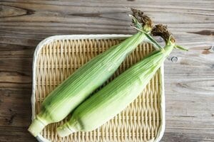 皮つきトウモロコシ