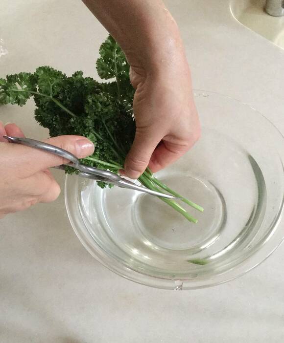 レタスもミズナも新鮮さキープ お金をかけずに野菜が長持ちするテク Esseonline エッセ オンライン