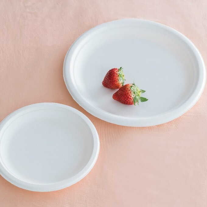 バガスプレート