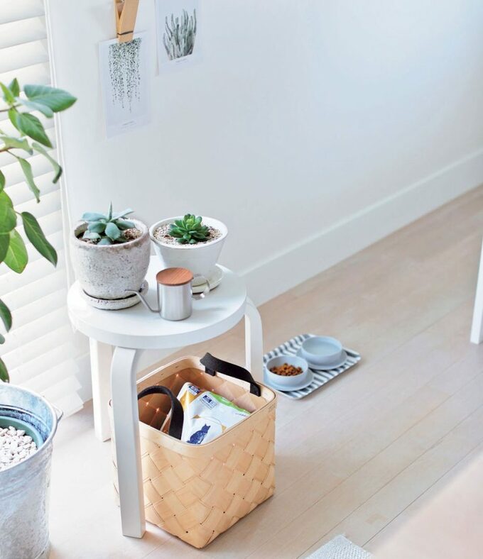 キャットフードの収納