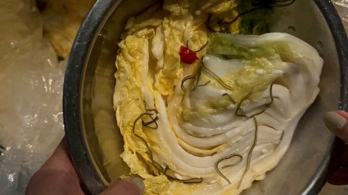 発酵白菜