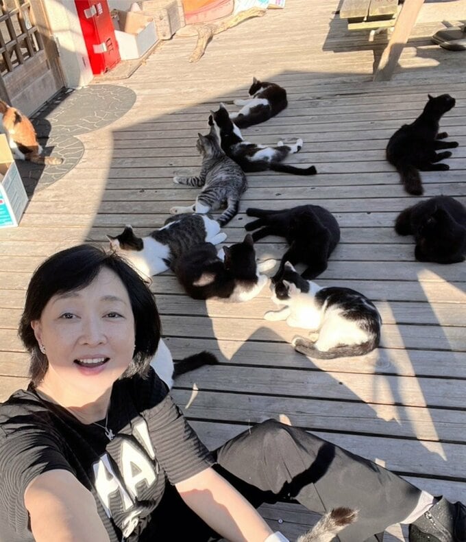 川上麻衣子さんとたくさんの猫
