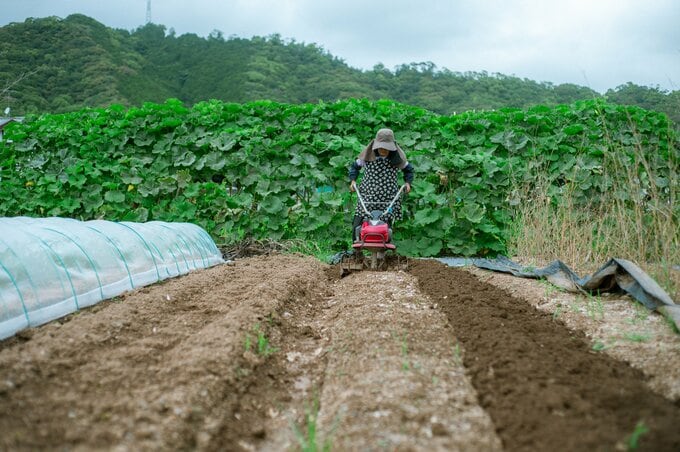 ひろちゃん農園 畑仕事の様子