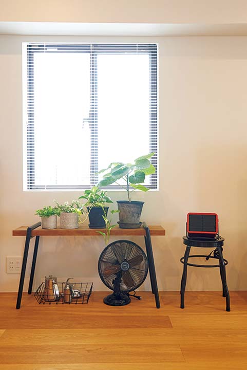 植物を置いたリビングのワンコーナー
