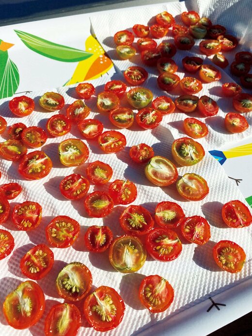 ドライトマト画像