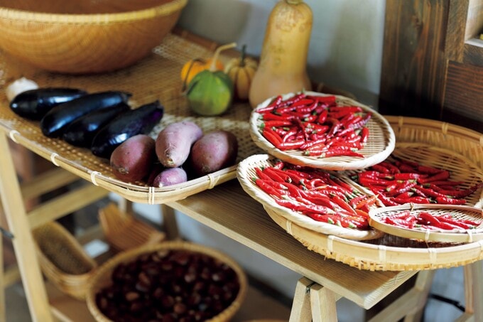 農家から分けてもらった野菜