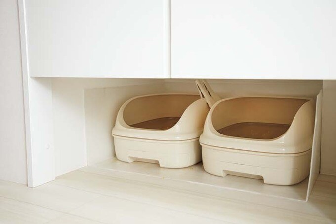 猫のトイレスペース